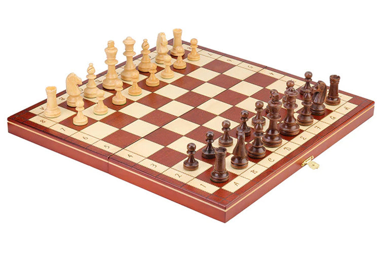 Swiftctrl Échecs Magnétiques 24 Pièces - Jeu de Société Stratégique Swiftctrl Échecs Magnétiques 24 Pièces - Jeu de Société Stratégique